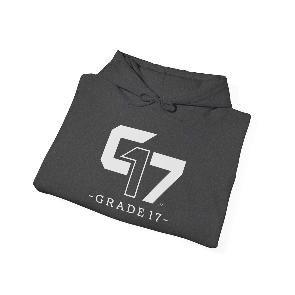 Grade 17 Luxury Fleece Sweatshirt // Fleet 01