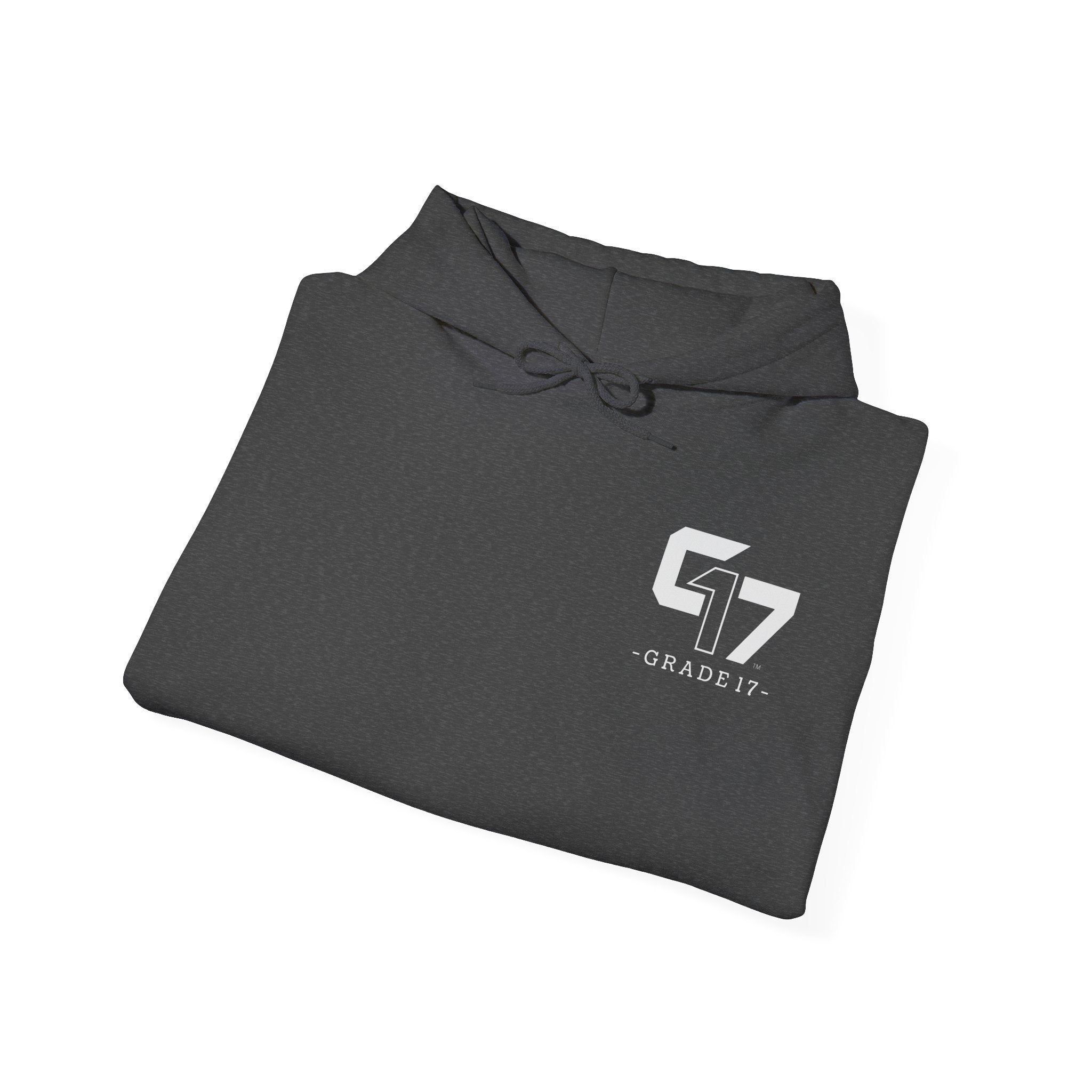 Grade 17 Luxury Fleece Sweatshirt // Fleet 01