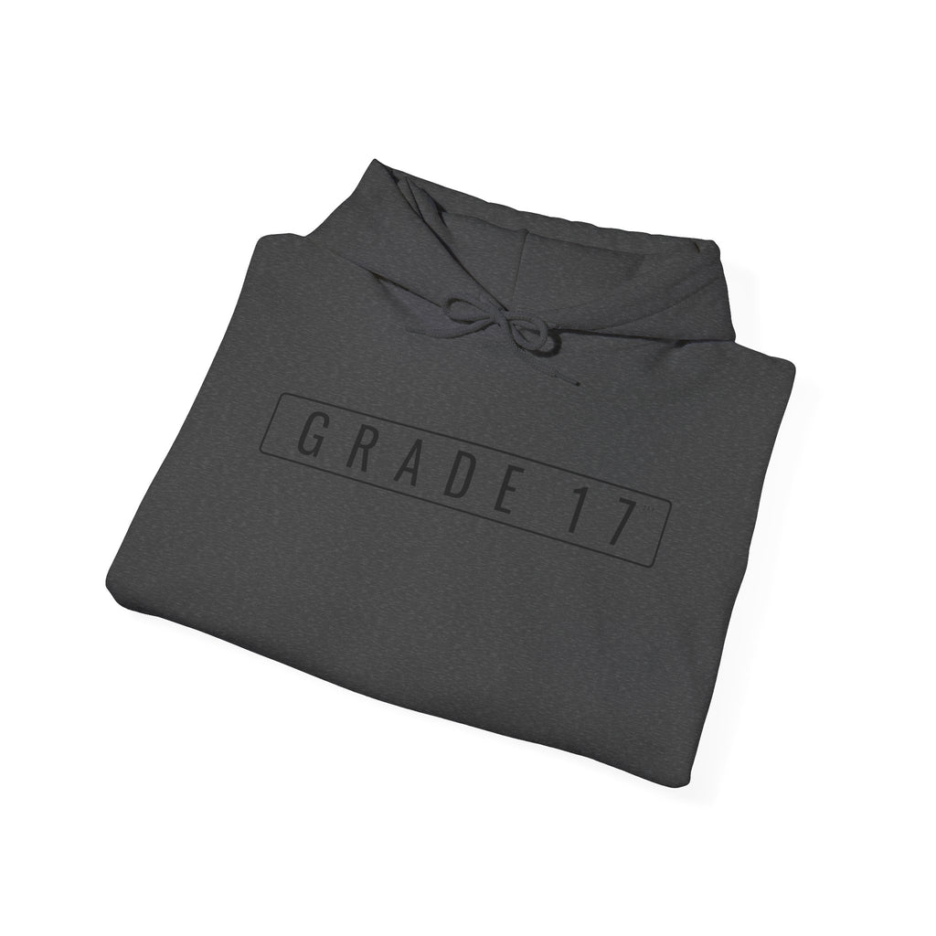 Grade 17 Luxury Fleece Sweatshirt // Fleet 01