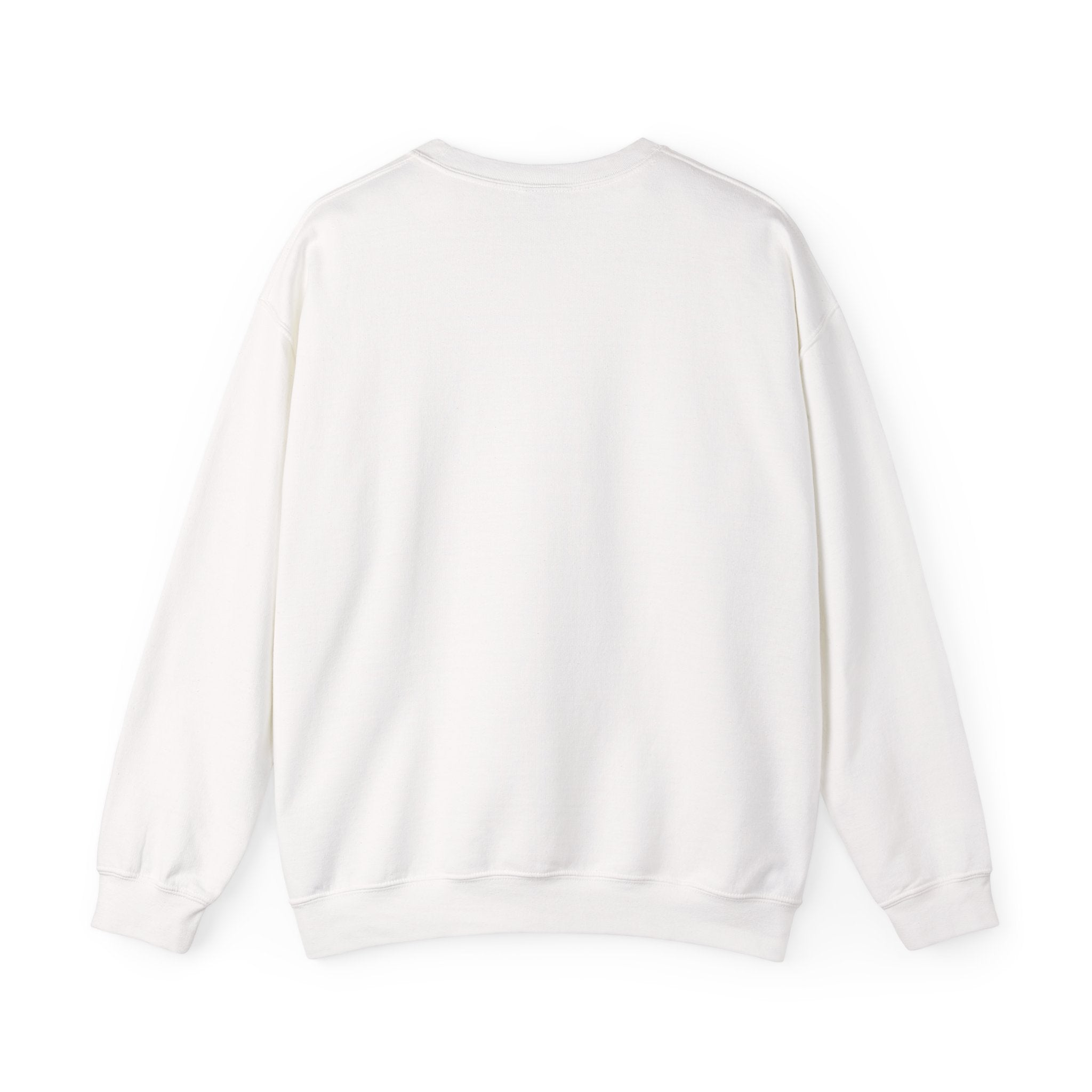 Grade 17 Premium Crew Neck // Fleet 01