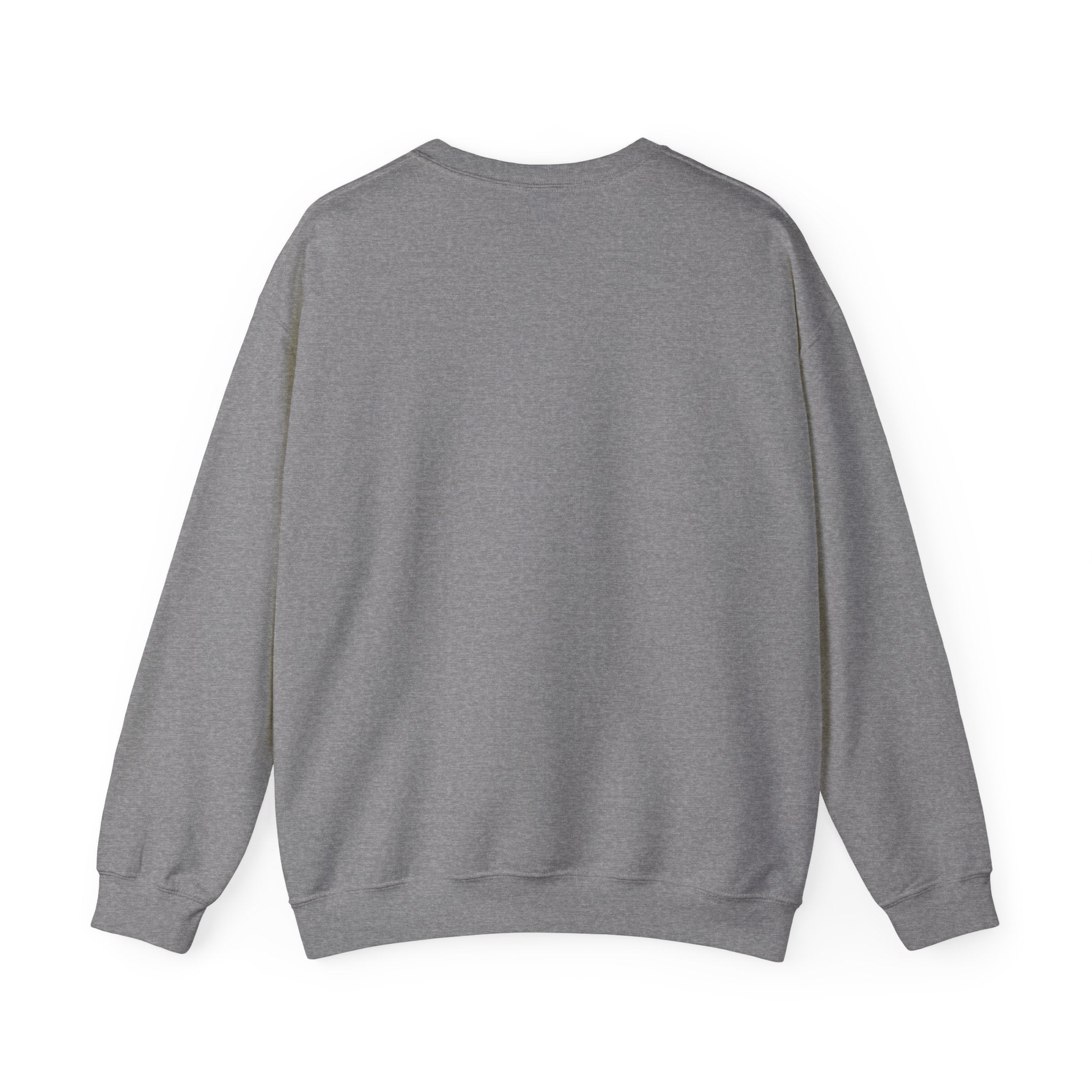 Grade 17 Premium Crew Neck // Fleet 01