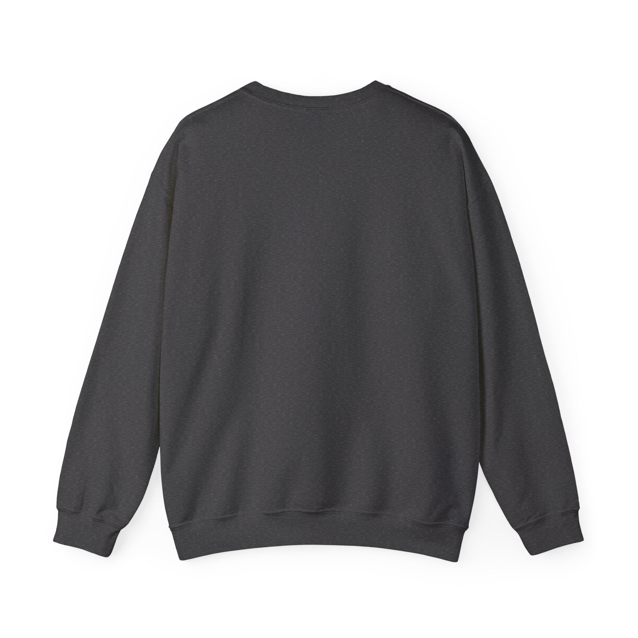 Grade 17 Premium Crew Neck // Fleet 01