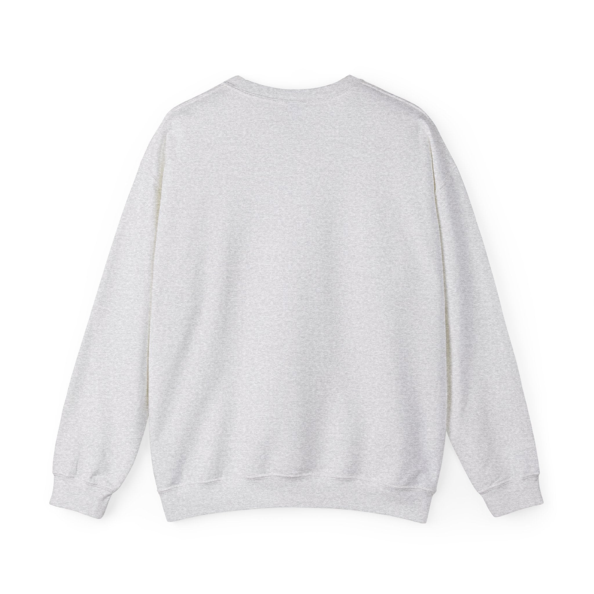 Grade 17 Premium Crew Neck // Fleet 01
